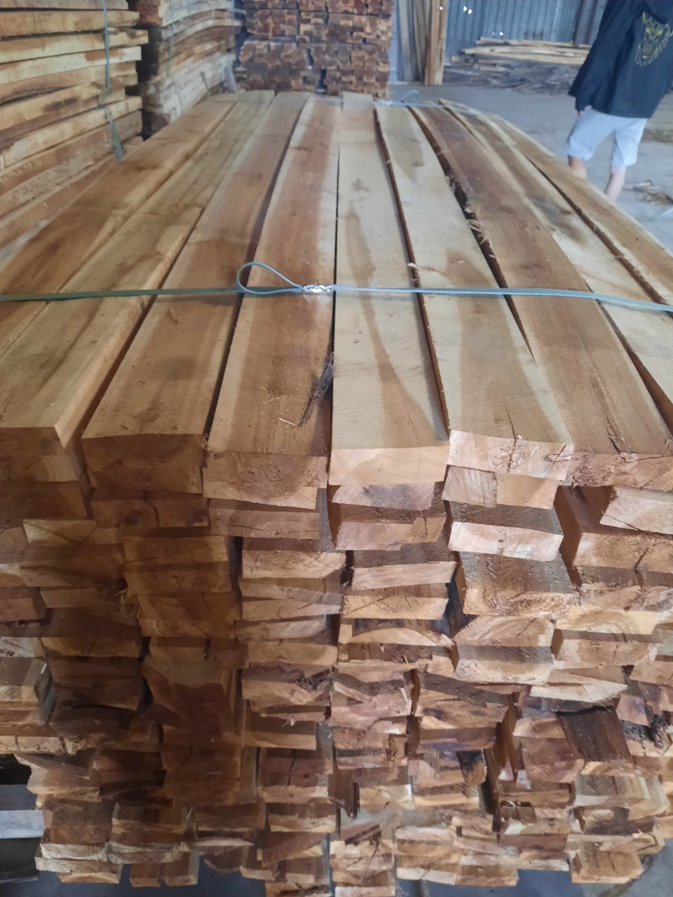Melaleuca wood